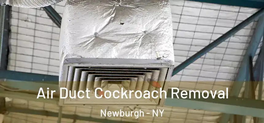  Air Duct Cockroach Removal Newburgh - NY