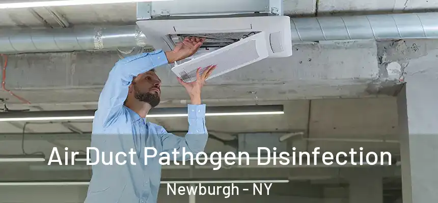  Air Duct Pathogen Disinfection Newburgh - NY
