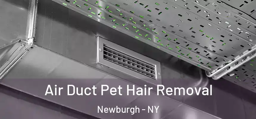  Air Duct Pet Hair Removal Newburgh - NY