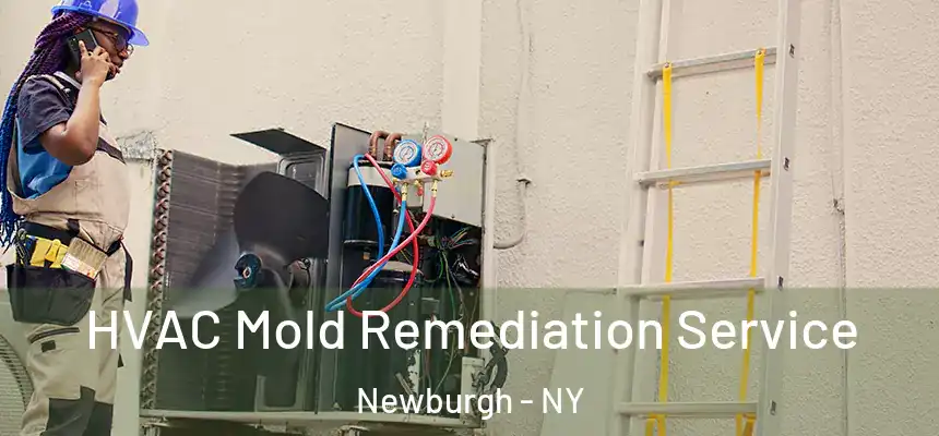  HVAC Mold Remediation Service Newburgh - NY