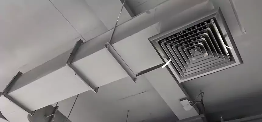 Restorative Allergy Relief Vent Cleaning – Coil, Blower & Housing Detail in Newburgh