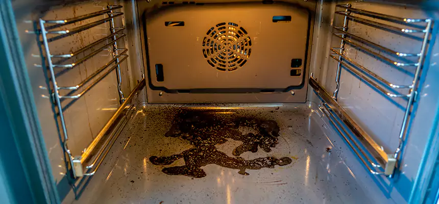 Our Dryer Vent Mold Cleaning Services in Newburgh, NY