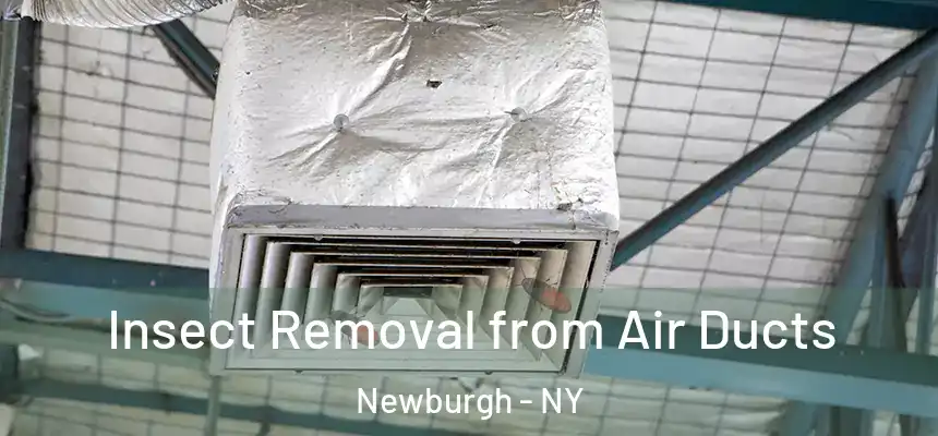 Insect Removal from Air Ducts Newburgh - NY