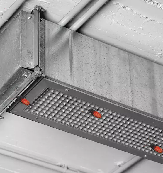 Affordable Insect Removal from Air Ducts in Newburgh, NY