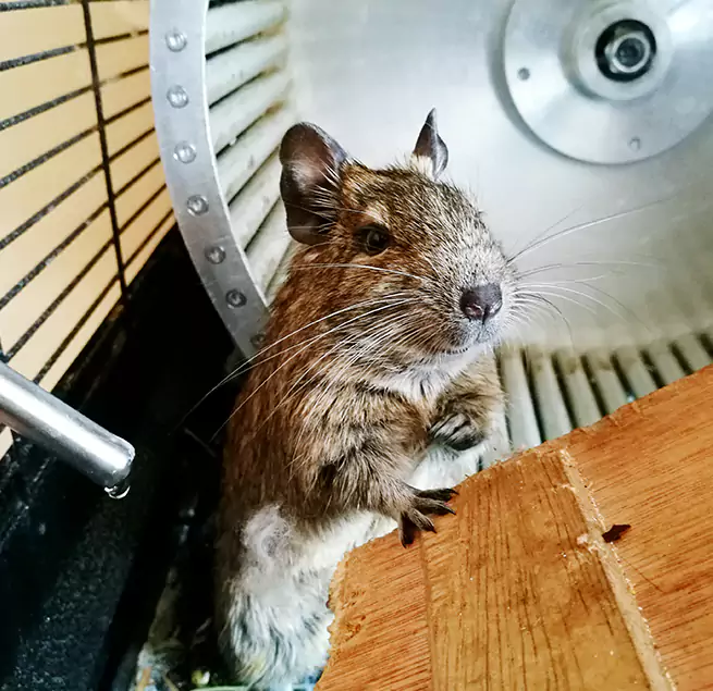 Why Homeowners & Businesses Trust Us Newburgh, NY?